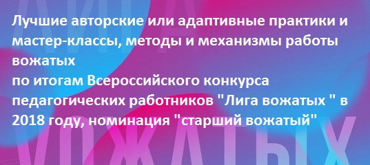 Лучшие авторские или адаптивные практики и мастер-классы, методы и механизмы работы вожатых, номинация "старший вожатый"