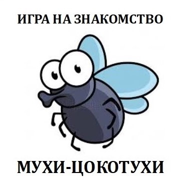 Игра на знакомство «Мухи-цокотухи». Автор – Михаил Бушуев